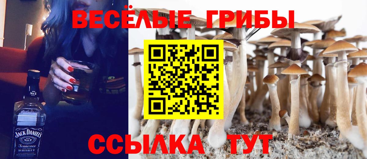 Псилоцибиновые грибы мухоморы Фурманов